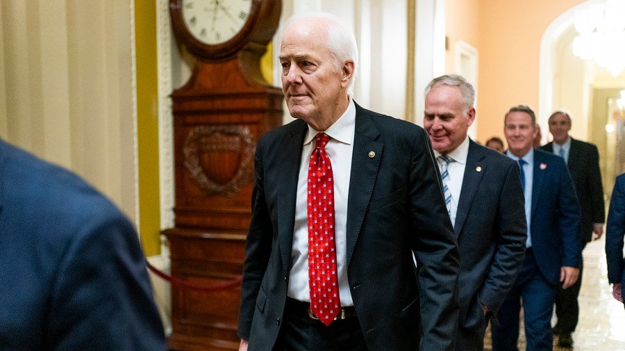 Trump berates Cornyn, Rove for not backing Paxton: 'They are hurting Texas'