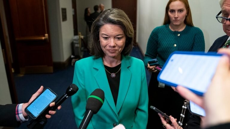 House Democrat calls out colleagues over 'dangerous' Piker