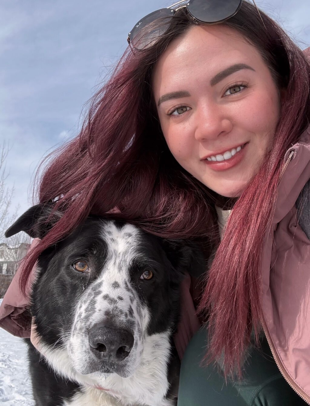 Beyond the Kennel: Giving Long-Stay Shelter Dogs a Chance to Be Seen
