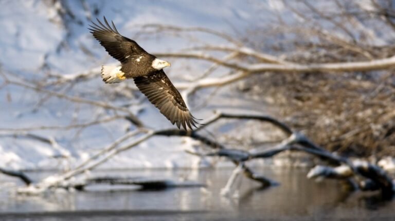 We can build more without sacrificing America’s natural heritage