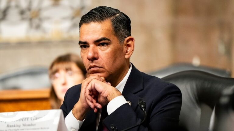 Democratic lawmaker says ICE officers broke US citizen's arm