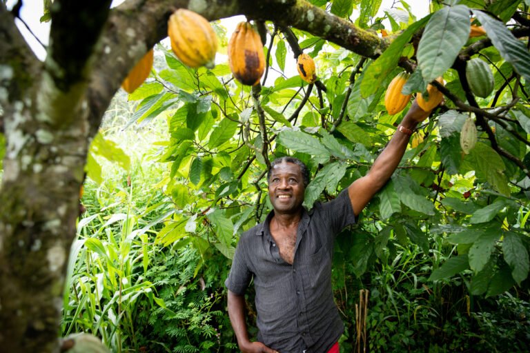 From climate finance to AI’s impact on smallholders, here’s what to expect at COP31