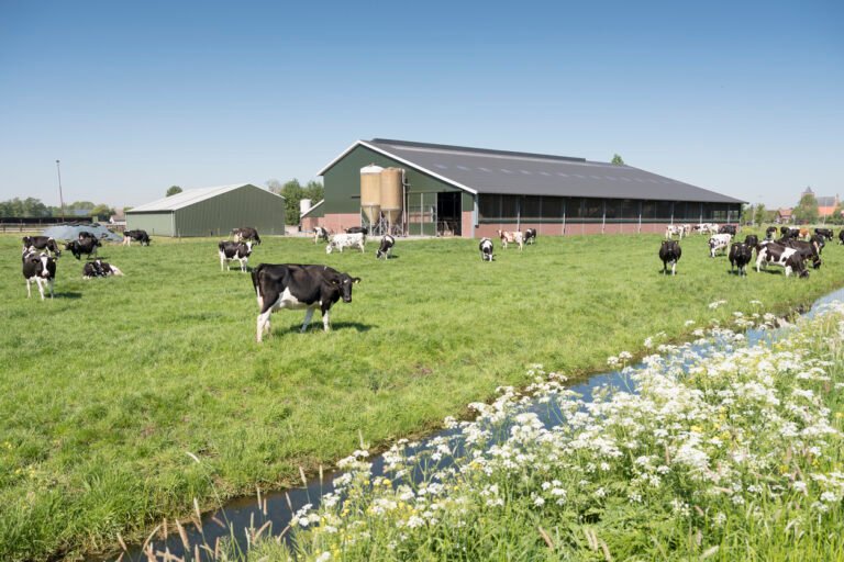 EU looks to speed agricultural research to market despite budget pressures