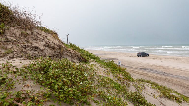 Public Beaches In Texas Are Also Highways, And You Can Actually Drive On Them