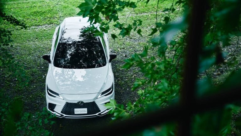 Lexus Quietly Gives Its Best-Selling SUV a Nürburgring Tune