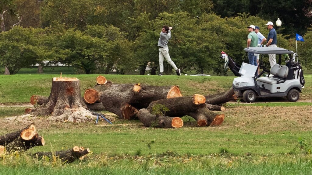 The Trump administration just cut down a century’s worth of history at a D.C. golf course