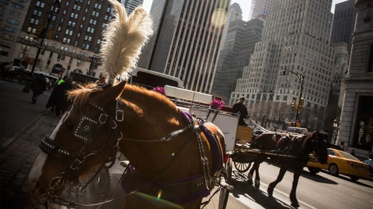 A timeline of New York City trying to ban horse carriages in Central Park