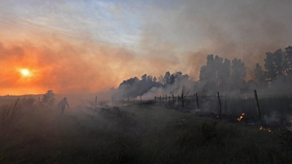 Half of the world’s population has been exposed to heat waves and wildfire smoke at the same time