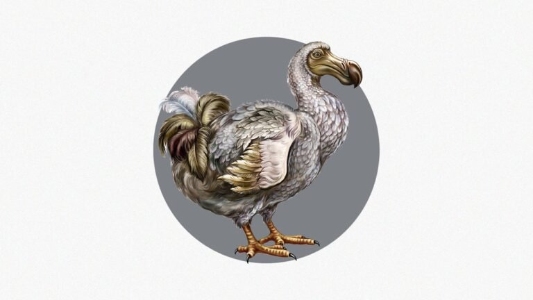 Colossal has take another big step toward bringing back the Dodo
