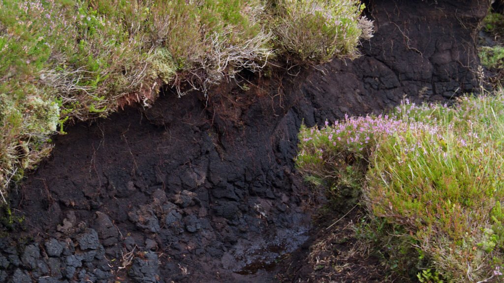 Science on Repeat, Peat, Peat