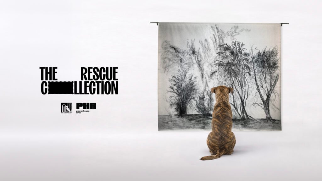 When Art Meets Animal Rescue: A Creative Way to Help Dogs Find Homes