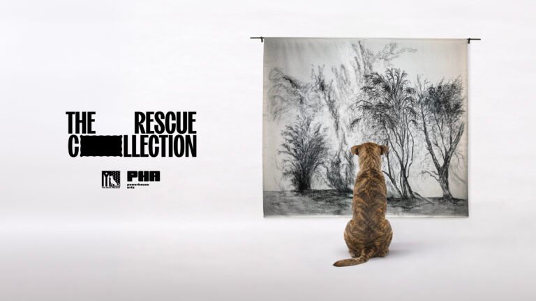 When Art Meets Animal Rescue: A Creative Way to Help Dogs Find Homes