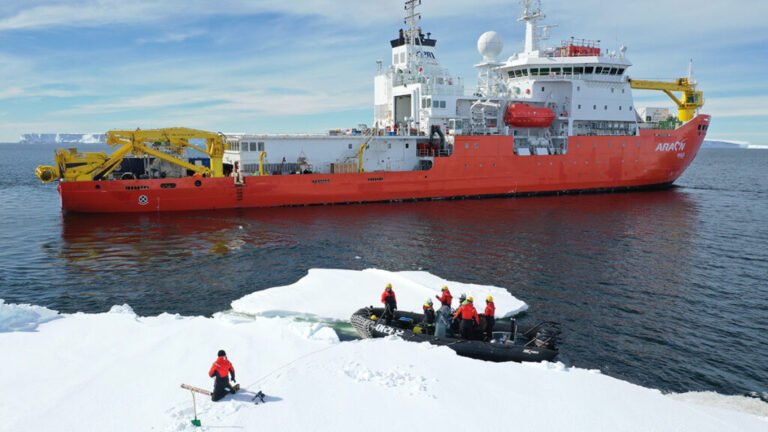 Reliable AI Sea Ice Forecasts Depend on Sustained Observations