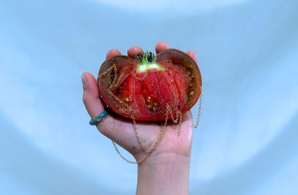 Apply Now for Fully Funded Interdisciplinary MFA Program