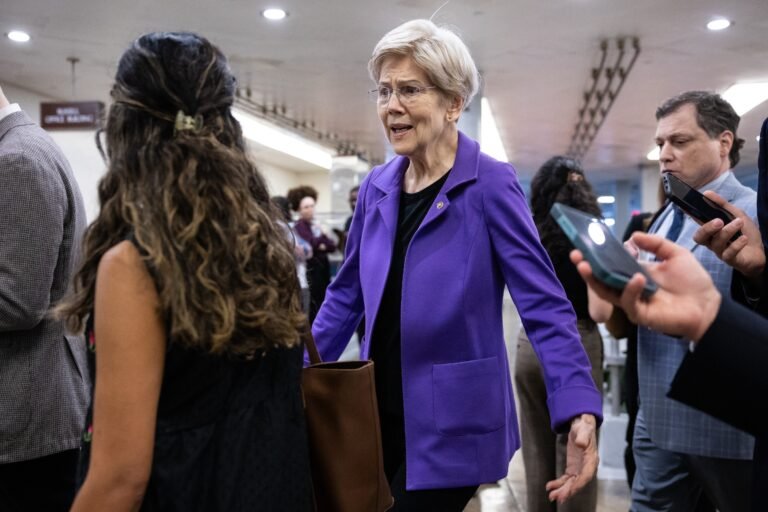 Elizabeth Warren eyes post-election Senate leadership move