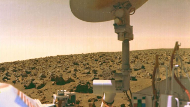 InSight into Seismology on the Red Planet